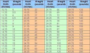 The Chart Above Lists Heart Girth Measurements And The Approximate Weight Of The Goat Any Sewing Tape Measure Will W Weight Charts Nigerian Goats Goat Health
