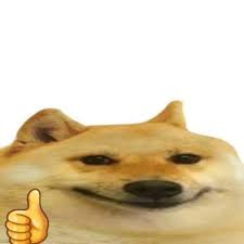 Welcome to 4kwallpaper.wiki here you can find the best doge space wallpapers uploaded by our community. Image About Dog In Maemaes By Dawn On We Heart It