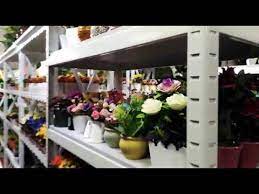 Toko victory ini terletak di samping rumah makan padang di depan kantor pos bandung, masih satu deretan dengan toko petra dulu. Toko Victory Bandung Part 2 Youtube