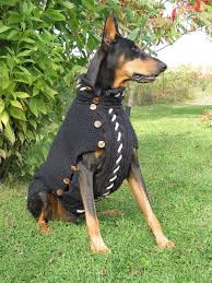 Dog Sweater Black Jack In Black Cotton For Large Breeds Large Dog Sweaters Diy Dog Sweater Dog Sweater