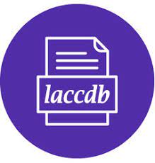 Normally if you get all users out of the app then the ldb file is . Como Desbloquear O Retirar Access Base De Datos Mdb Accdb Archivo De