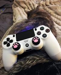The Best Way To Spend Saturdays Chel Skyrim Maiden Playstation Console Playstation Controller
