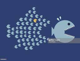 What does the proverb big fish eat little fish mean? Little Fish Eat Big Fish Unity Teamwork Organize Concept With Little Fish Fish Illustration Big Fish