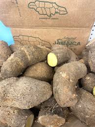 Image result for Dioscorea cayenensis