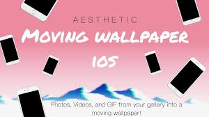 You can also upload and share your favorite moving wallpapers. How To Make Your Own Moving Wallpaper A E S T H E T I C Moving Wallpapers What App Youtube