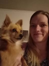 Lost dog in Dorcas area?