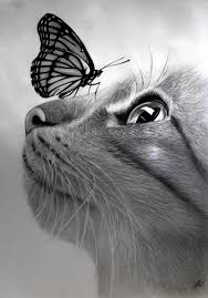 Now that you have an idea on how to draw butterflies, go and get your pencil, paper, and coloring materials and make one. Cat With A Butterfly Drawing In 2021 Animal Drawings Sketches Realistic Animal Drawings Animal Drawings