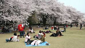 Image result for pemandangan cantik di jepun