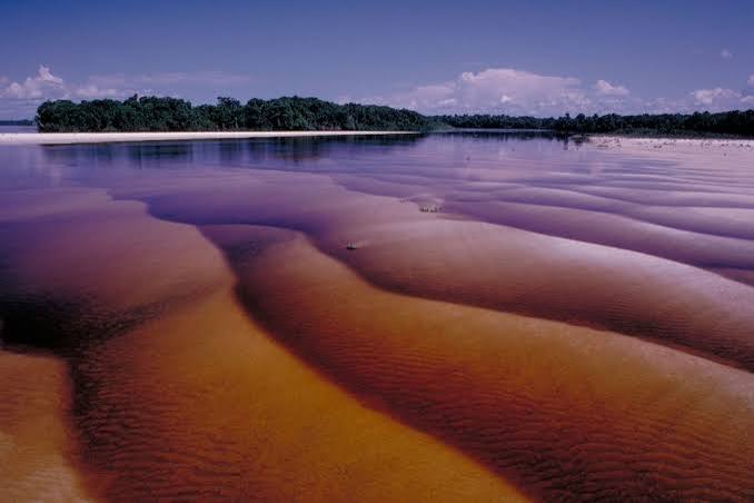Blackwater Rivers | AMAZON WATERS