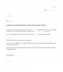 When sending payment reminders, you must include the invoice date, whether it is for a past due or upcoming payment. Payment Reminder Sample Template Word And Pdf