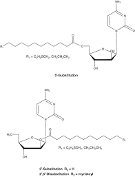 Image result for Cytarabine