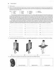 Well you're in luck, because here they come. Worksheet 1 And 2 Review Sheet The Language Of Anatomy Name Labtime Date Surface Anatomy 1 Match Each Of The Numbered Descriptions With The Related Course Hero