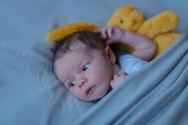 Kyle Haskins CECP (@kylehaskins) · Auckland