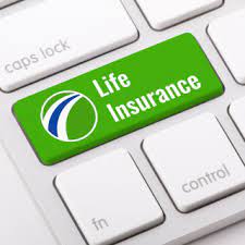 Let us help you get insurance you can afford. Freeway Insurance Cheap Car Insurance Home Insurance And More