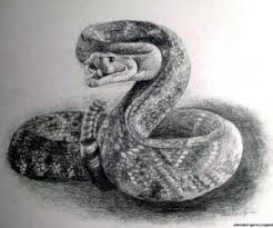 Snake Pencil Drawing Images Serpente Fotografia I do not own rights to this song. snake pencil drawing images serpente