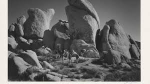 ansel adams zone system joshua tree