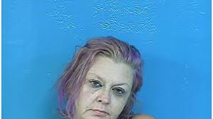 SCSO: Two arrested at Lynn Garden Travel Inn