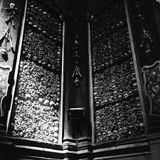 Genocide organ — murder 06:52. 29 Free Genocide Organ Music Playlists 8tracks Radio