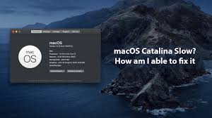 Macos Catalina Slow How Am I Able To Fix It