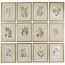 18th Century Framed Botanical Prints Framed Botanical Prints Framed Botanicals Botanical Print Set
