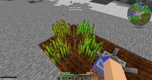 22 hours ago game version: Atm3 R Agricraft Levelling Up Seeds Allthemods