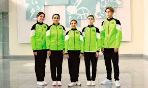 Image result for норвежские кёрлингисты