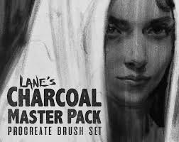 The Charcoal Master Pack : Procreate Brush Set || Digital Drawing Brushes &  Tools