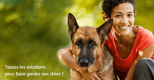 Emplois connexes bonjour, je suis à la recherche d'un petit job pour garder un chien ou plusieurs qui soit petit ou grand peut importante j'accepte tout types de chien. Garde Chien Toutes Les Solutions Guide Complet