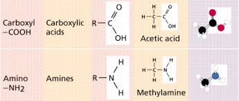 Chemistry Ii Water And Organic Molecules