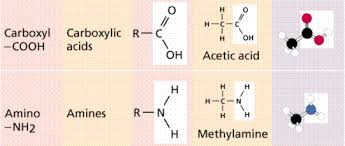 chemistry ii water and organic molecules