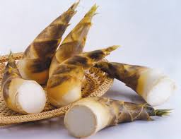 正果) is a crispy, chewy hangwa (traditional korean confection) with vivid colors and a translucent look. è‡ºå—å¸‚é—œå»Ÿå€å…¬æ‰€ ç«¹ç­