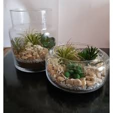 Terrarium Jarre En Verre Transparent Diy Terrarium Jarre En Verre Terrarium Magasin Decoration