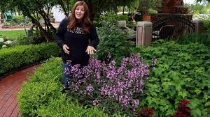 The perfect perennial for your garden! Garden Answer Penstemon In Full Bloom Midnight Masquerade Facebook