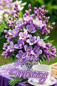 🌹🌻Beautiful Flowers🌻🌹Good Morning 🌹 #83shubh 🌼🌻🌹