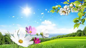 Download now our cool wallpaper! Summer Breeze Haiku Beautiful Summer Wallpaper Scenery Wallpaper Spring Wallpaper