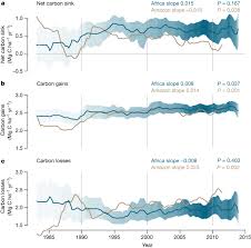 asynchronous carbon sink saturation in
