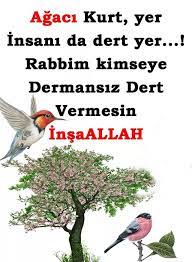 agaci kurt yer insani da dert hayata adanmis sozler facebook