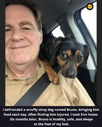 Man rescues stray dog and nurses him back to health