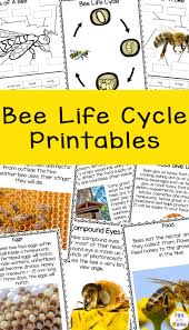 This will also help you when watching english television shows, for example nature documentaries, as you will. Bee Life Cycle Printables For Kids Fun With Mama