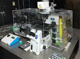 Live Cell Imaging Wikipedia