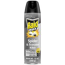 Raid 20-Oz Defend Ant And Roach Killer Lavender Home And Perimeter Indoor  Bug Spray In The Insect Repellents Department At Lowes.Com