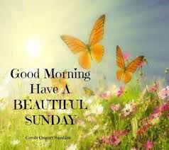 Maybe you would like to learn more about one of these? Happy Sunday Ecards