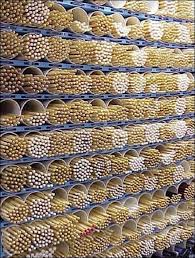Drum Sticks Displayed En Masse Fixtures Close Up Drums Percussion Drum Kits