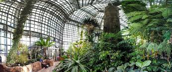 Die gewächshäuser sind wieder geöffnet! Botanischer Garten Berlin Dahlem By Norbert Stojke Photo 55705430 500px Capital De Alemania Alemania Castillo Real