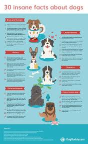 Did You Know That Dogs Have Over 5 Times More Tastebuds Than Human Beings Now You Do Here S An Infographic Wit Dog Facts Fun Facts About Dogs Dog Infographic