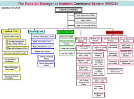 Developing A Hospital Emergency Incident Command System Heics
