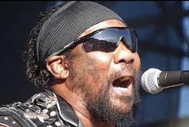 Steve's Dead Rock Stars