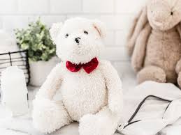 We did not find results for: Can You Wash Teddy Bears