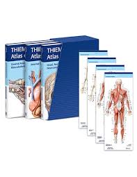 This second edition of volume 3 in the thieme atlas of anatomy series. Anatomy Thieme Atlas Of Anatomy Three Volume Set Third Edition
