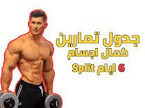 جدول تمارين كمال اجسام 6 ايام split in 2021 workout schedule gym workout chart workout chart